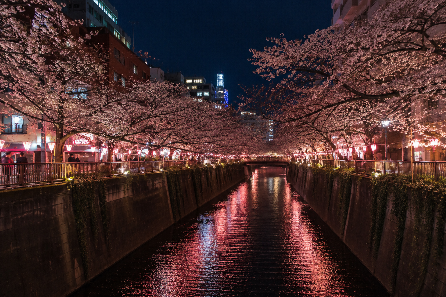 📷 夜の中目黒・目黒川の写真